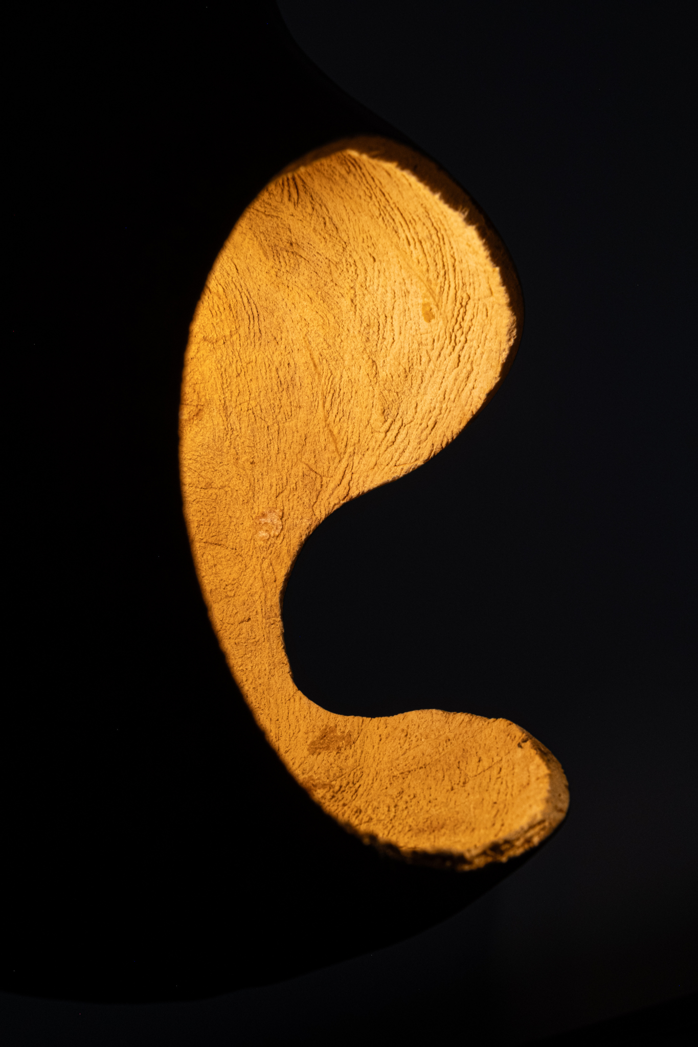Samay Totuma Pendant Light