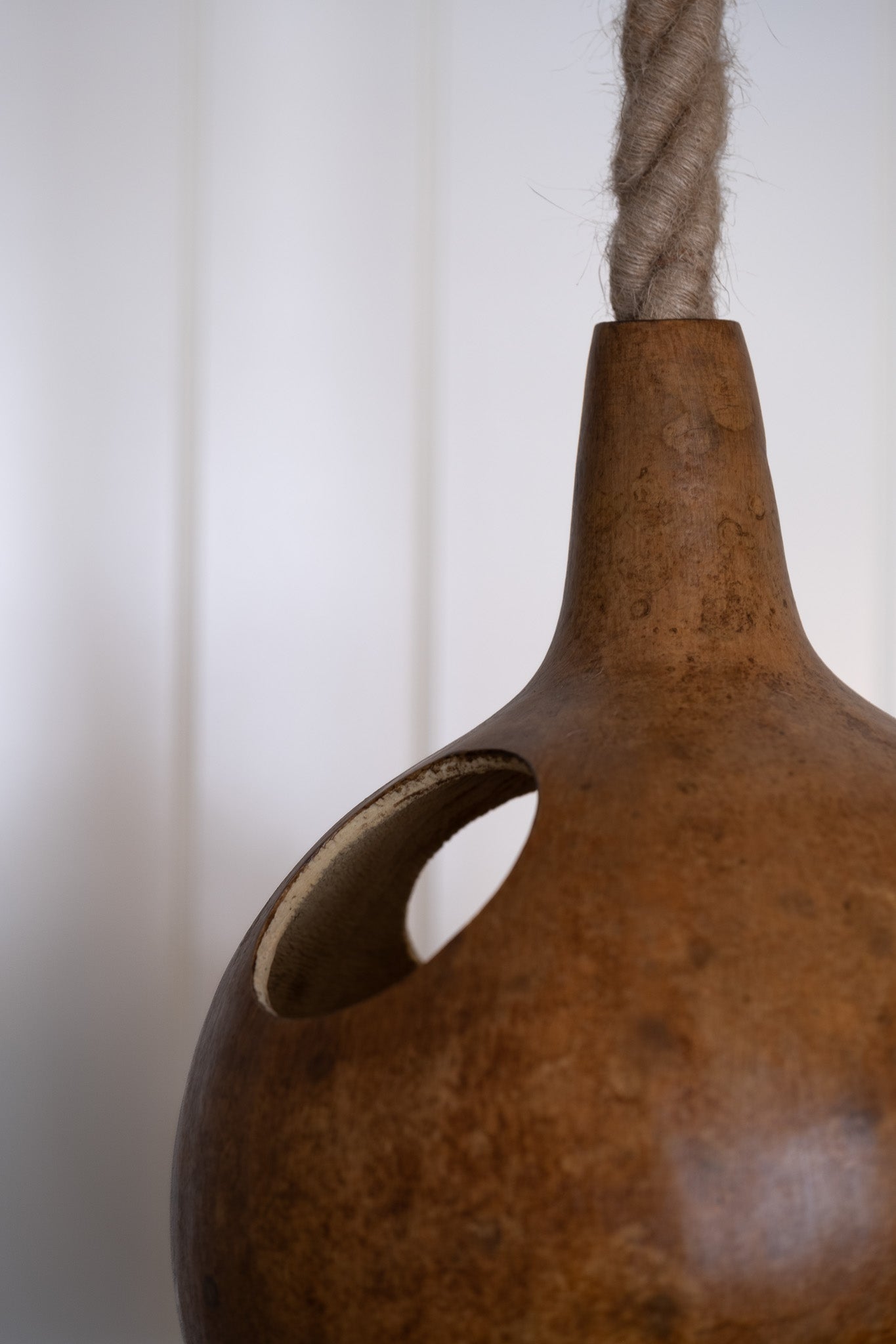 Uara Totuma Pendant Light