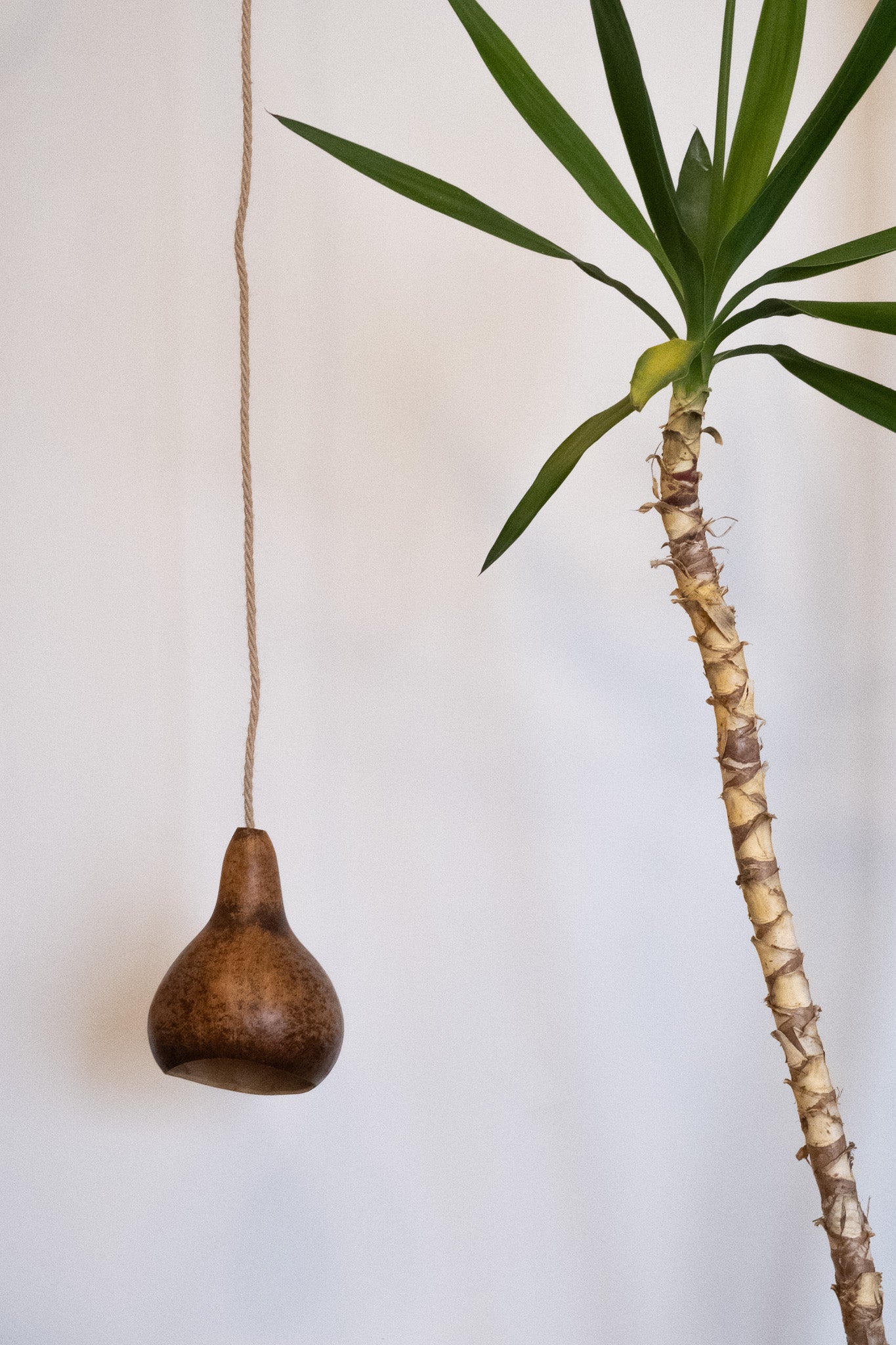 Nuka Totuma Pendant Light