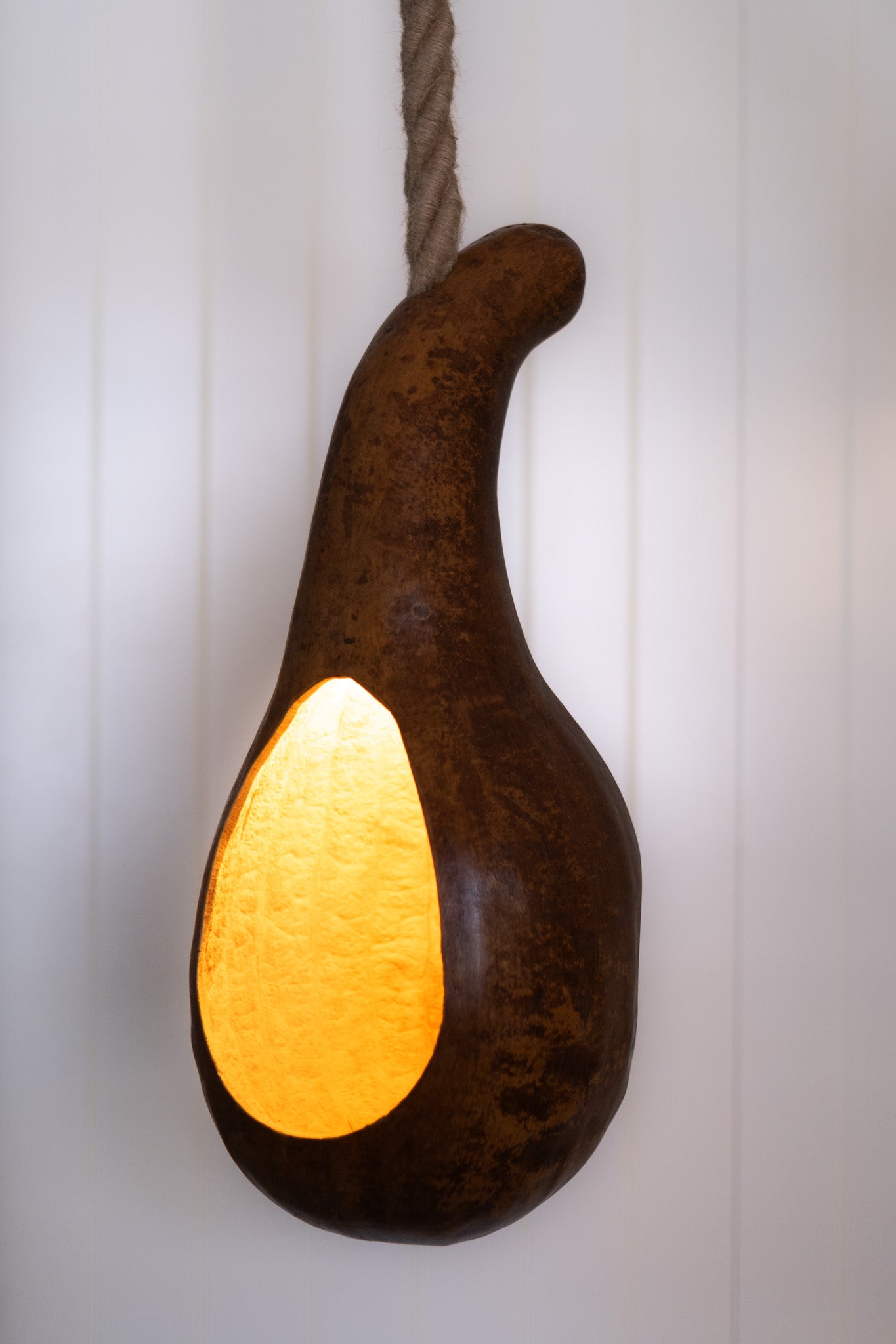 Nantu Totuma Pendant Light