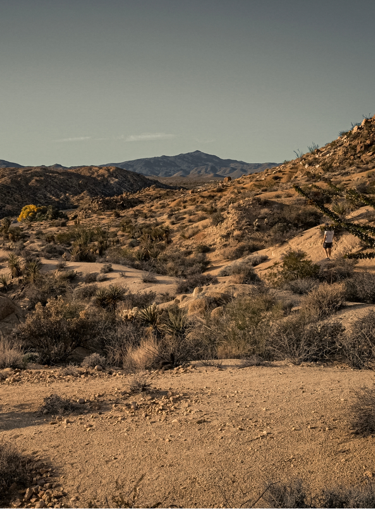Lightroom Presets by Blackstone Bespoke